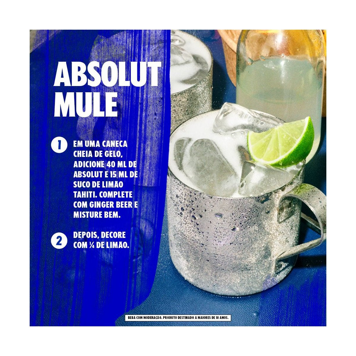 Vodka Absolut 1L - Hollister